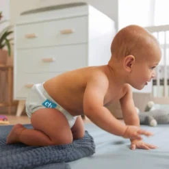 Charlie Banana One Size Reusable Cloth Diaper 16 Charlie Banana One Size Reusable Cloth Diaper -Baby Trend Sales Store GUEST 00122f18 e13b 488d 96b6 1956d6aec51c