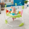 Fisher Price Fisher-Price Fitness Fun Folding Jumperoo