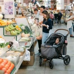 Larktale Sprout Single-to-Double Stroller/Wagon - Expandable And Foldable Stroller Wagon With Canopy, Storage, And Accessories - Nightcliff Stone -Baby Trend Sales Store GUEST 483f195b e267 40ca 8807 c20c3f2838dd