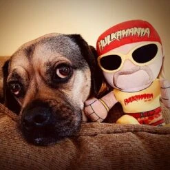 Bleacher Creatures WWE Hulk Hogan 8" Kuricha Sitting Plush 9 Bleacher Creatures WWE Hulk Hogan 8" Kuricha Sitting Plush -Baby Trend Sales Store GUEST 4ffc096f 62a5 4e81 8ba5 098bc96a6438