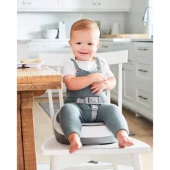 Skip Hop Sleek Booster Seat - Gray/White