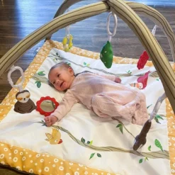 JumpOff Jo - Infant Activity Gym And Baby Play Mat - Ages 0-18 Mo. 13 JumpOff Jo - Infant Activity Gym And Baby Play Mat - Ages 0-18 Mo. -Baby Trend Sales Store GUEST 6bfd4f9a 8f9e 4f33 915a 27b7d0ae9078