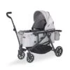 Larktale Crossover All-in-One Stroller And Wagon - Convert From A Single Baby Stroller To A Two Seater Pull Wagon With Canopy - Nightcliff Stone