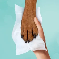 Pampers® Pampers Multi-Use Baby Wipes (Select Count) -Baby Trend Sales Store GUEST ae3c826e 8f46 4d5a a707 fc047fa58e58