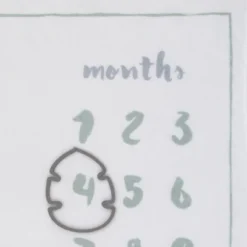 Disney Lion King Simba Super Soft Milestone Baby Blanket -Baby Trend Sales Store GUEST c9e5ac9f 0fb6 4912 8b89 c46e7d0b3fe9